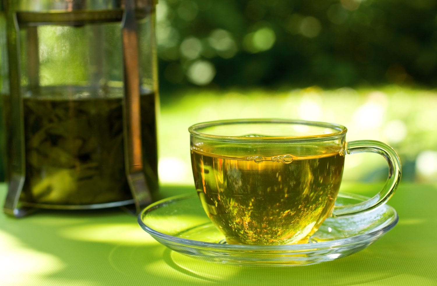 6 лучших вкусных зеленых чаев