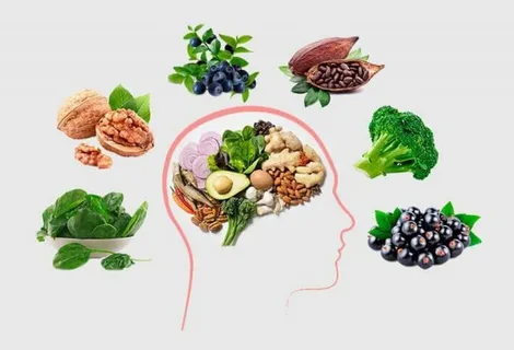 Диета и мозг: как питание влияет на умственную деятельность