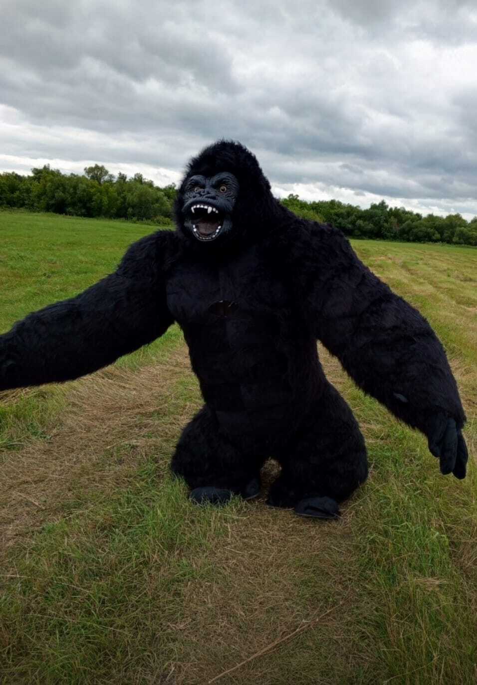 Медведь на праздник — лучшее агентство для тех, кто хочет веселья!